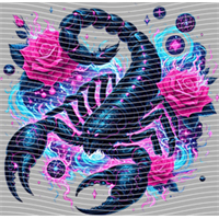 Constellation-XZ 157